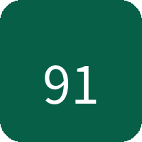 91